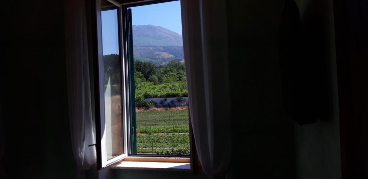 Villa Mazza Al Vesuvio Торре-дель-Греко Экстерьер фото